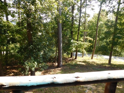 Log Home on Acreage Jasper Buffalo River Region For Sale - image 27