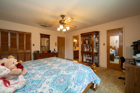 North East Texas Country Home For Sale - image 29