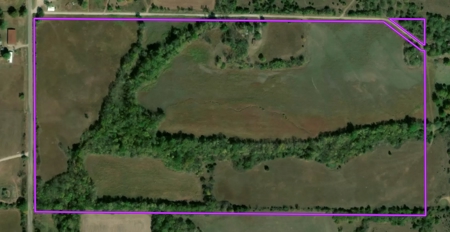 80 +/- Investment Acres For Sale - Ideal Hunting and Income - image 2