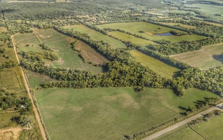 80 +/- Investment Acres For Sale - Ideal Hunting and Income - image 13