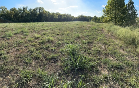80 +/- Investment Acres For Sale - Ideal Hunting and Income - image 9