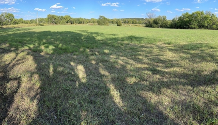 80 +/- Investment Acres For Sale - Ideal Hunting and Income - image 5