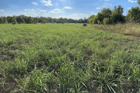 80 +/- Investment Acres For Sale - Ideal Hunting and Income - image 8