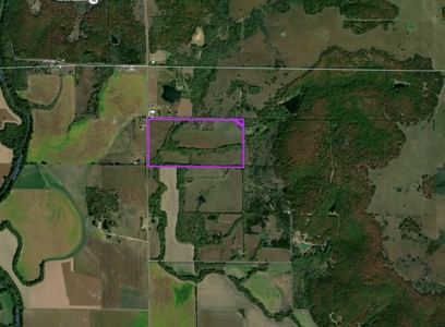 80 +/- Investment Acres For Sale - Ideal Hunting and Income - image 16