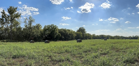 80 +/- Investment Acres For Sale - Ideal Hunting and Income - image 10