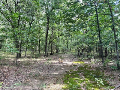 Cedar County - 82 Acres of Recreational Land For Sale - image 14