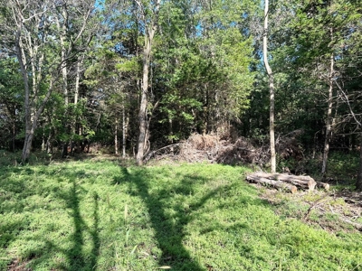 Cedar County - 82 Acres of Recreational Land For Sale - image 3