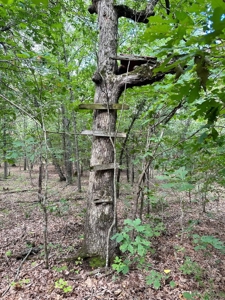 Cedar County - 82 Acres of Recreational Land For Sale - image 18