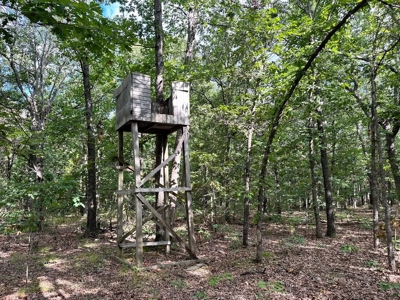 Cedar County - 82 Acres of Recreational Land For Sale - image 15