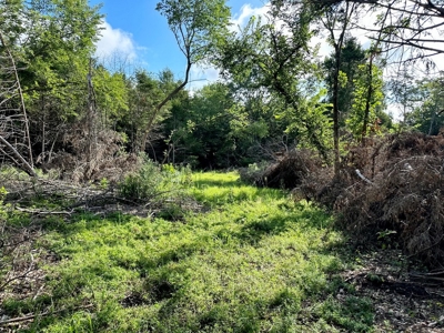 Cedar County - 82 Acres of Recreational Land For Sale - image 5