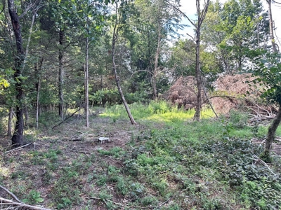 Cedar County - 82 Acres of Recreational Land For Sale - image 6