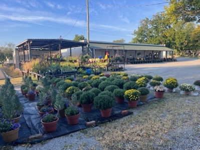 Cameron Mo Greenhouse & Floral Shop For Sale - image 5