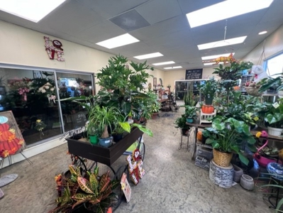 Cameron Mo Greenhouse & Floral Shop For Sale - image 19
