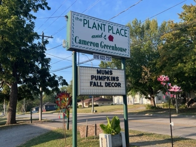 Cameron Mo Greenhouse & Floral Shop For Sale - image 18