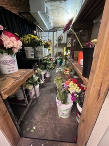 Cameron Mo Greenhouse & Floral Shop For Sale - image 20