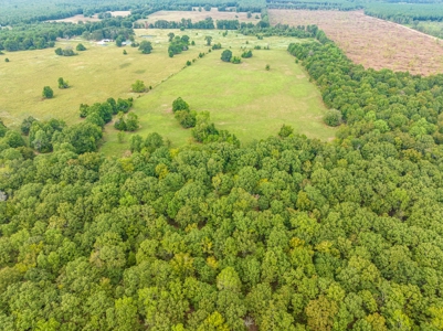 Self-Stainable Exceptional Ranch For Sale in NE TX - image 14