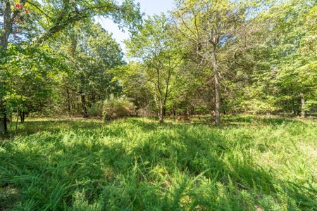 Vacant Land with Outbuildings and a Shop in Baxter County - image 12