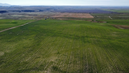 Central Montana - McGimpsey Acreage - Lot 2 - image 4