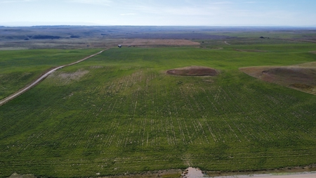 Central Montana - McGimpsey Acreage - Lot 2 - image 14