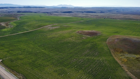 Central Montana - McGimpsey Acreage - Lot 3 - image 3