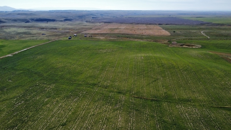 Central Montana - McGimpsey Acreage - Lot 4 - image 4