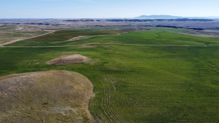 Central Montana - McGimpsey Acreage - Lot 4 - image 5