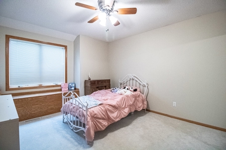 Anamosa Iowa Home for Sale - image 20