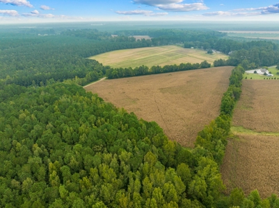 Exceptional Land Opportunity: 33 Acres near Plymouth, NC - image 19