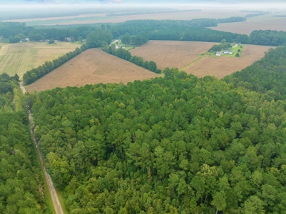 Exceptional Land Opportunity: 33 Acres near Plymouth, NC - image 13