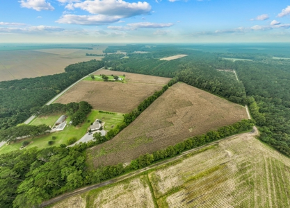 Exceptional Land Opportunity: 33 Acres near Plymouth, NC - image 11