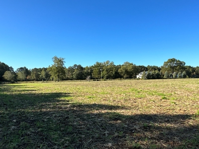 Exceptional Land Opportunity: 33 Acres near Plymouth, NC - image 25