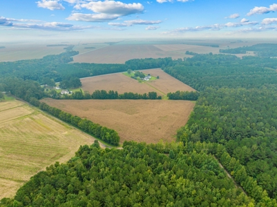 Exceptional Land Opportunity: 33 Acres near Plymouth, NC - image 9