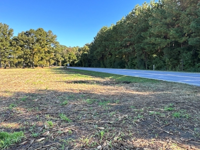 Exceptional Land Opportunity: 33 Acres near Plymouth, NC - image 21