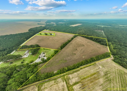 Exceptional Land Opportunity: 33 Acres near Plymouth, NC - image 10