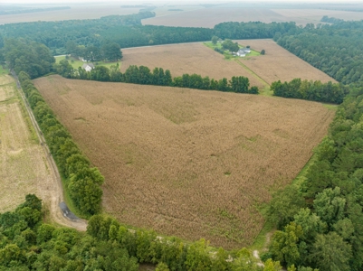Exceptional Land Opportunity: 33 Acres near Plymouth, NC - image 14