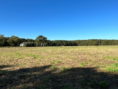 Exceptional Land Opportunity: 33 Acres near Plymouth, NC - image 24