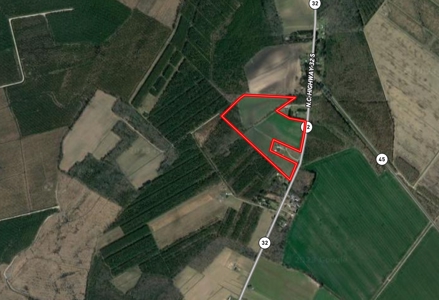 Exceptional Land Opportunity: 33 Acres near Plymouth, NC - image 2