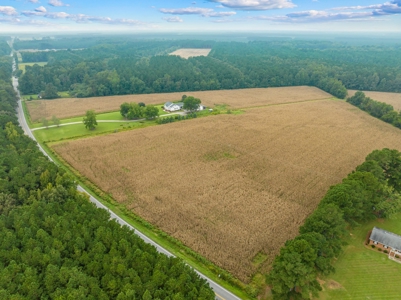 Exceptional Land Opportunity: 33 Acres near Plymouth, NC - image 16