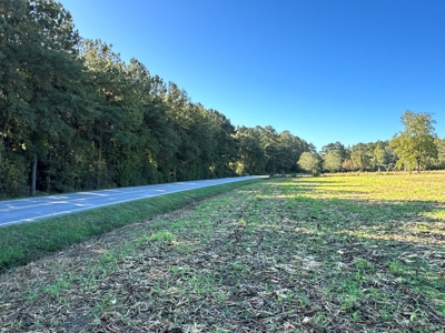 Exceptional Land Opportunity: 33 Acres near Plymouth, NC - image 26