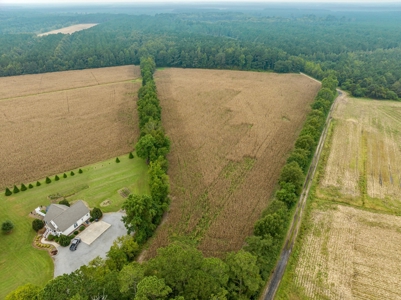 Exceptional Land Opportunity: 33 Acres near Plymouth, NC - image 15