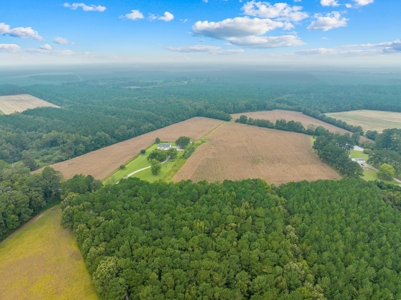 Exceptional Land Opportunity: 33 Acres near Plymouth, NC - image 17