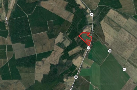 Exceptional Land Opportunity: 33 Acres near Plymouth, NC - image 3