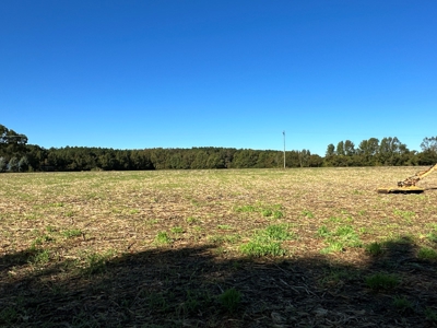 Exceptional Land Opportunity: 33 Acres near Plymouth, NC - image 23