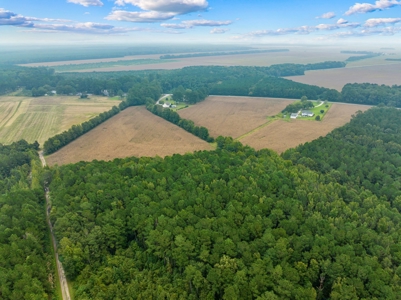 Exceptional Land Opportunity: 33 Acres near Plymouth, NC - image 8