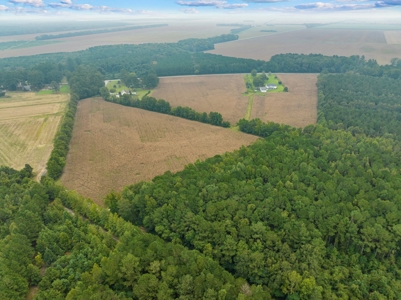 Exceptional Land Opportunity: 33 Acres near Plymouth, NC - image 7