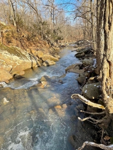 Terrapin Creek Frontage Land  For Sale Piney Mountain Views - image 13