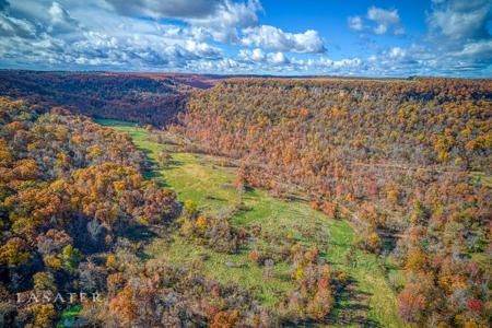 Terrapin Creek Frontage Land  For Sale Piney Mountain Views - image 2