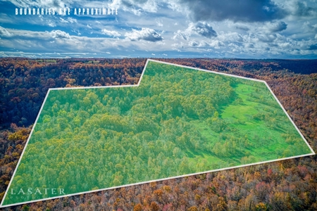 Terrapin Creek Frontage Land  For Sale Piney Mountain Views - image 3