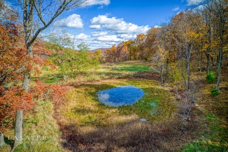 Terrapin Creek Frontage Land  For Sale Piney Mountain Views - image 11