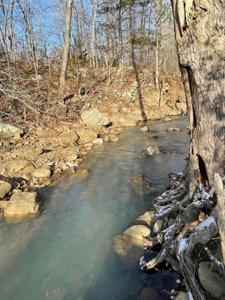 Terrapin Creek Frontage Land  For Sale Piney Mountain Views - image 14